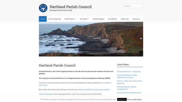 Screenshot of the St John's Clock website