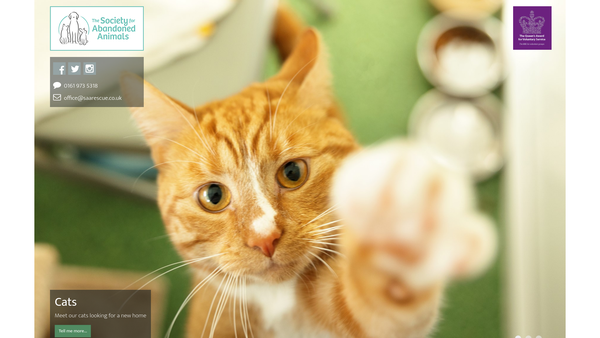 Screenshot of the Society For Abandoned Animals website