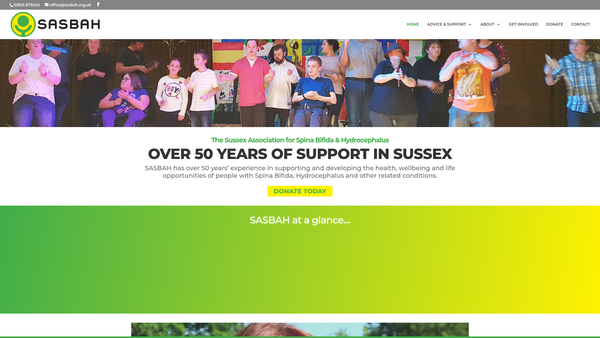 Screenshot of the The Sussex Association For Spina Bifida And Hydrocephalus website