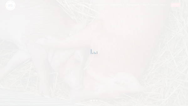 Screenshot of the The British Pig Association website