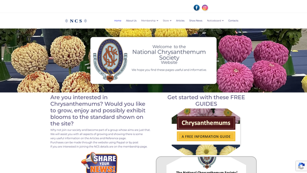 Screenshot of the The National Chrysanthemum Society website