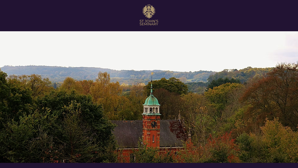 Screenshot of the Charity For The Advancement Of The Roman Catholic Religion In The Roman Catholic Dioceses Of Southwark And Arundel And Brighton website