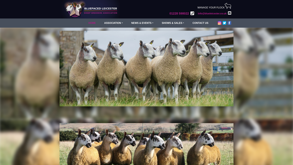 Screenshot of the The Bluefaced Leicester Sheep Breeders' Association website