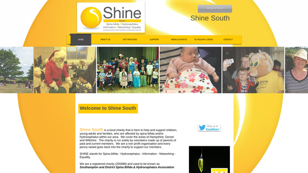 Screenshot of the Shine South website