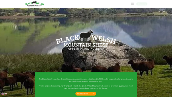 Screenshot of the The Black Welsh Mountain Sheep Breeders' Association website