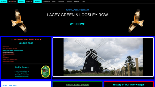 Screenshot of the Village Hall website