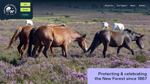 Screenshot of the New Forest Association website