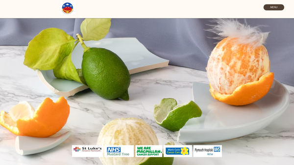 Screenshot of the The Plymouth And Cornwall Cancer Fund website