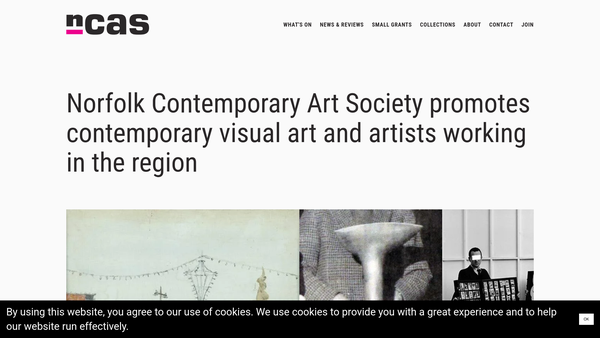 Screenshot of the Norfolk Contemporary Art Society website