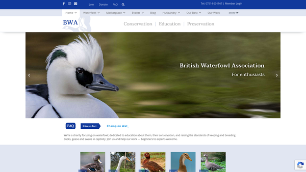Screenshot of the British Waterfowl Association website