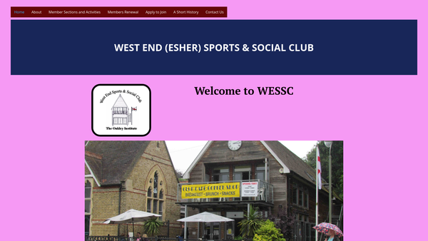 Screenshot of the The Oakley Institute website