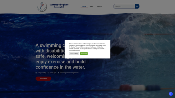 Screenshot of the Dolphin Swimming Club For Handicapped Persons website