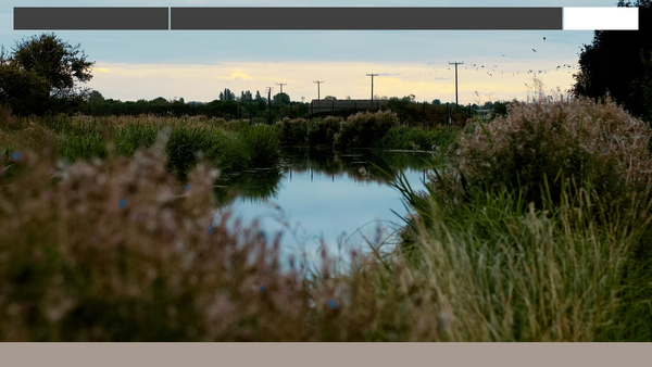Screenshot of the The Farthing Trust website