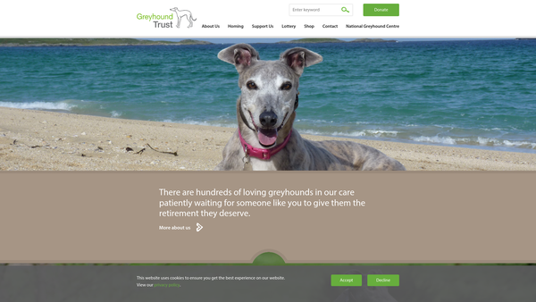 Screenshot of the Greyhound Trust website