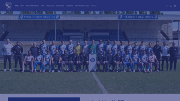 Screenshot of the The Wingate Youth Trust website