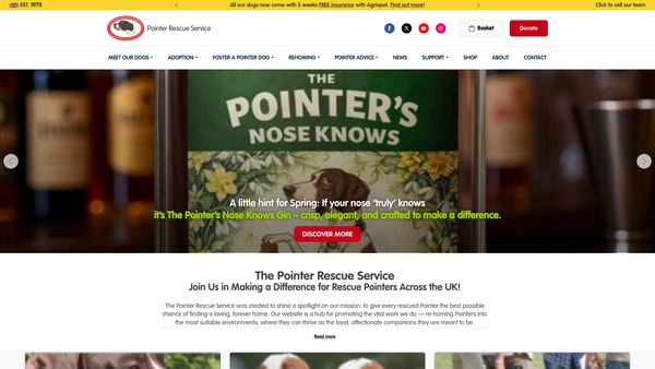 Screenshot of the The Pointer Rescue Service website