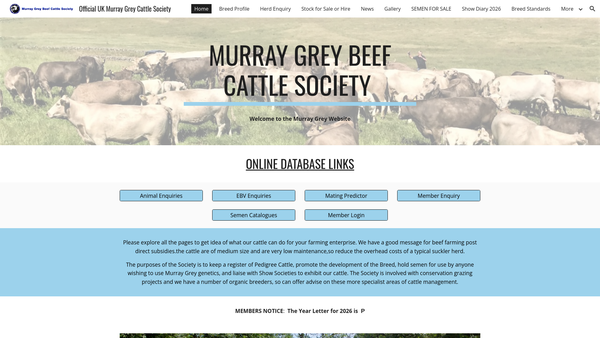 Screenshot of the Murray Grey Beef Cattle Society website