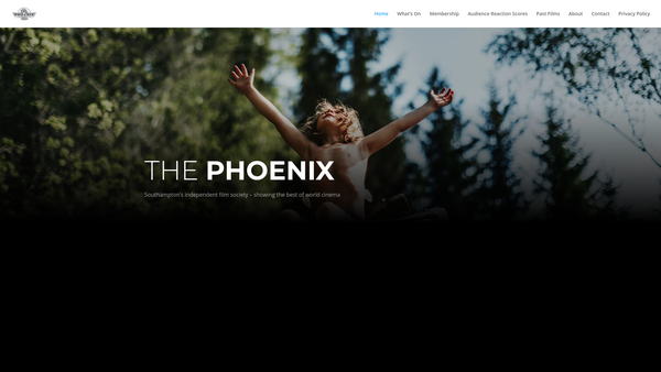Screenshot of the Southampton Film Theatre website