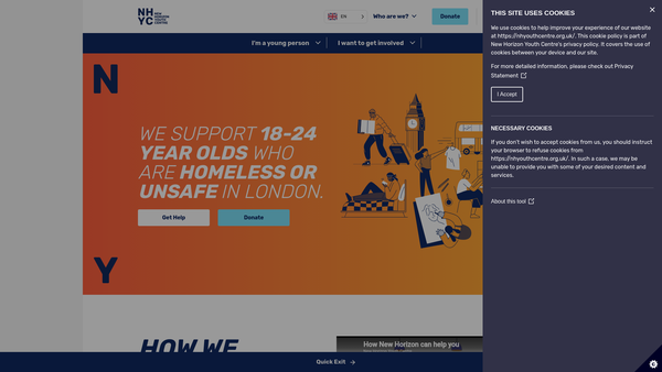 Screenshot of the New Horizon Youth Centre website
