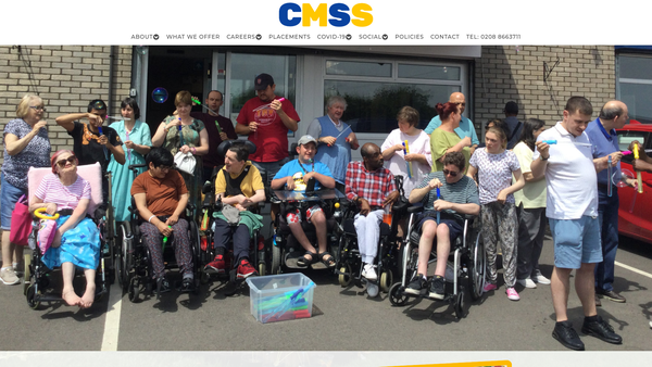 Screenshot of the Cmss website