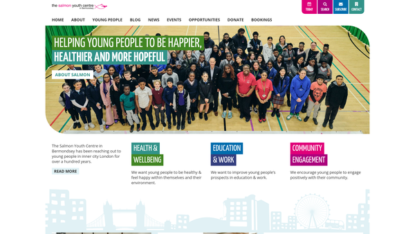 Screenshot of the The Salmon Youth Centre In Bermondsey website