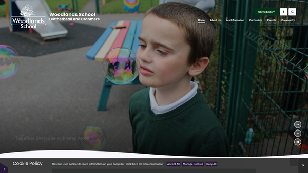 Screenshot of the Friends Of Woodlands School website