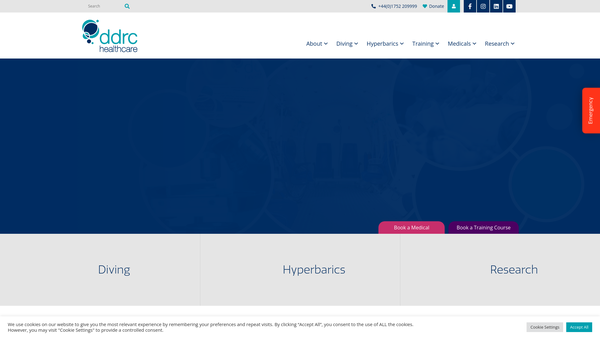 Screenshot of the Ddrc Healthcare website