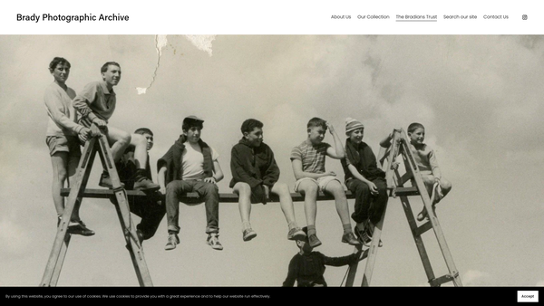 Screenshot of the The Bradians Trust website