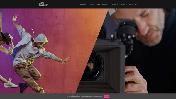 Screenshot of the Arts Network Sutton website