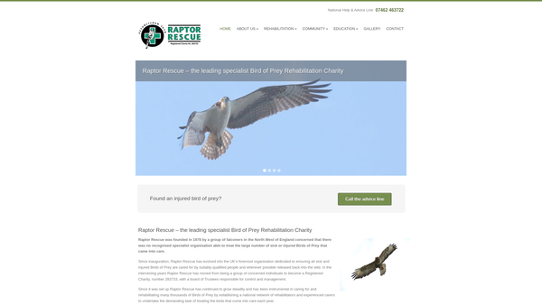 Screenshot of the Raptor Rescue website