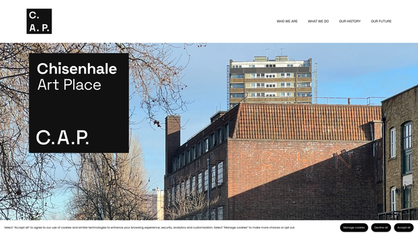 Screenshot of the Chisenhale Art Place Limited website