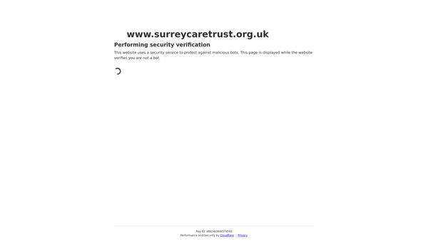 Screenshot of the The Surrey Care Trust website