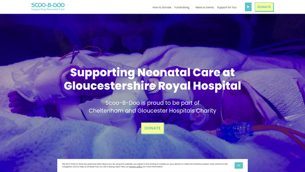 Screenshot of the Scoo-B-Doo Society For The Benefit Of The Special Babycare Unit Of The Gloucester Royal Hospital website