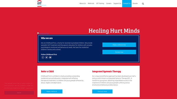 Screenshot of the Institute Of Integrated Systemic Therapy website