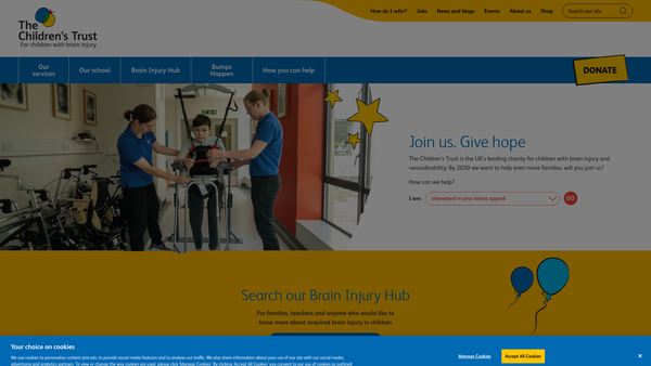 Screenshot of the The Children's Trust website