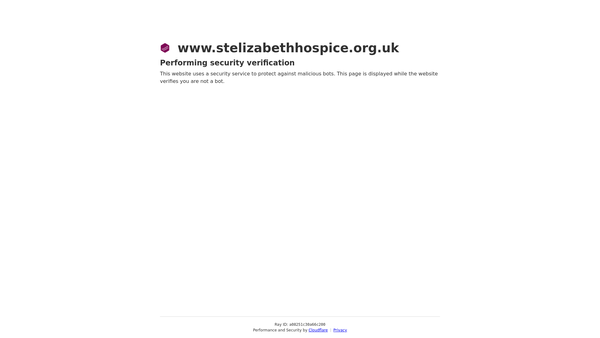 Screenshot of the St Elizabeth Hospice website