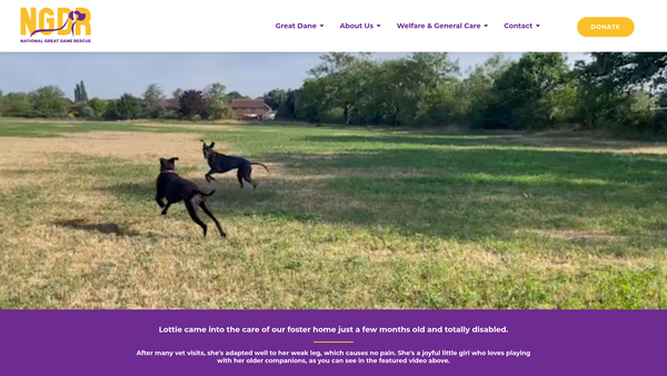 Screenshot of the National Great Dane Rescue website