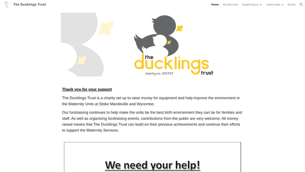 Screenshot of the The Ducklings Trust website
