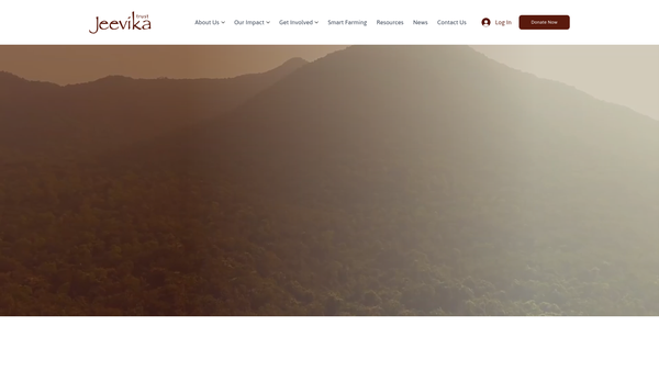 Screenshot of the India Development Group (UK) Limited website