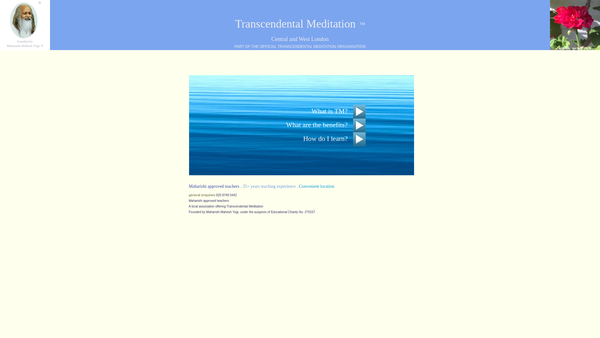 Screenshot of the The Surya Trust website