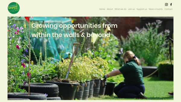 Screenshot of the Beyond The Wall website