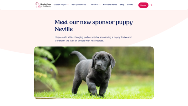Screenshot of the Hearing Dogs For Deaf People website