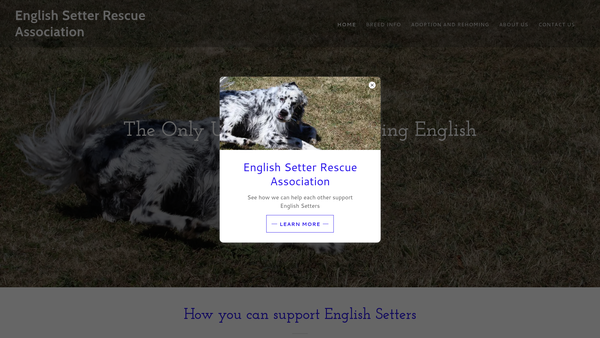 Screenshot of the English Setter Rescue Association website
