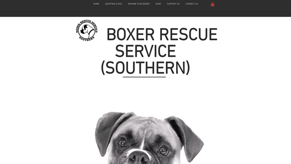 Screenshot of the The Boxer Rescue Service (Southern) website