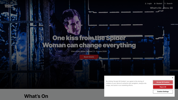 Screenshot of the The Mayflower Theatre Trust website