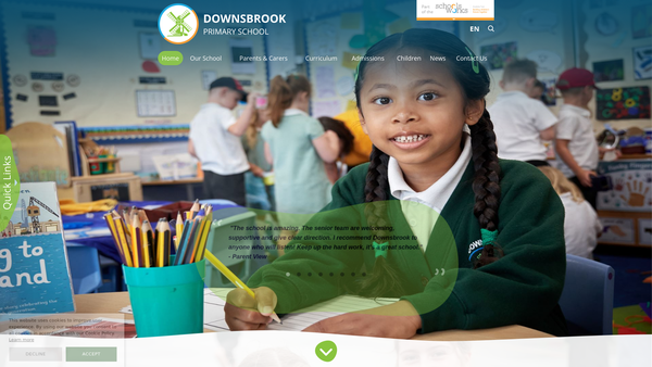 Screenshot of the Friends Of Downsbrook website