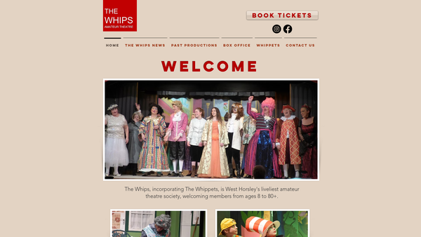 Screenshot of the The Whips website