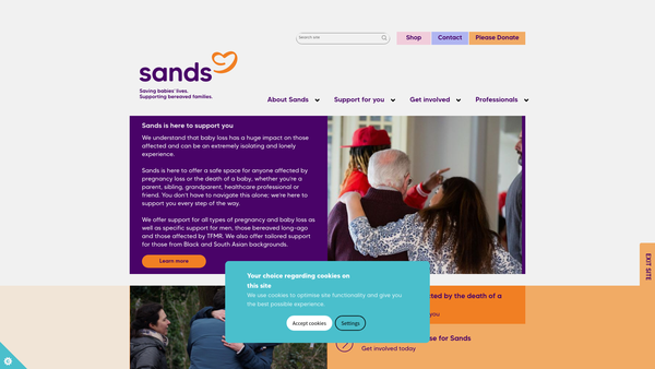 Screenshot of the Sands website