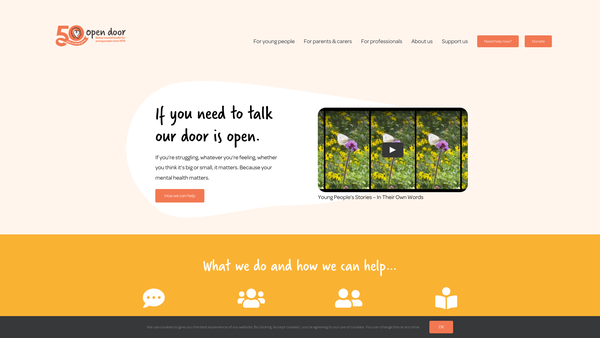 Screenshot of the Open Door, Young People's Consultation Service website