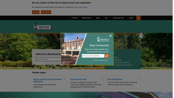 Screenshot of the Courage Playing Fields website